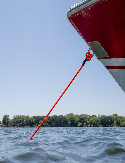 Anchor Shock