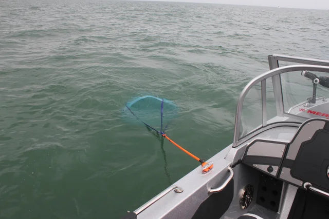 Anchor Shock